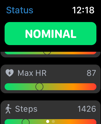 Watch screen showing display of maximum heart rate and steps for the day.